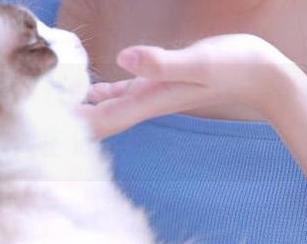 快来517吃瓜官网打卡，让你的人生更加‘瓜’分精彩！