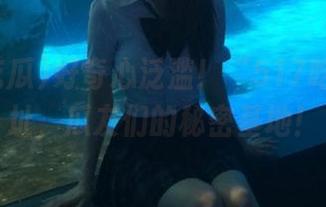 好奇心泛滥！“517吃瓜”网址，瓜友们的秘密基地！