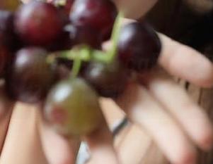 网站上线！51cg网，快来跟我一起发掘隐藏的瓜吧！