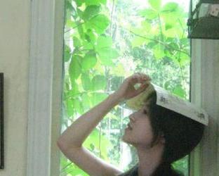 直达718.sx，吃瓜神器迅速解锁明星背后的那些事！