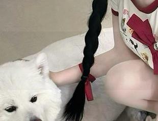 网页里的秘密花园，91icg到底藏了什么迷人的故事？
