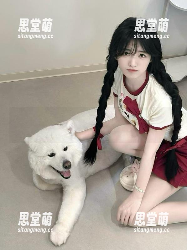 网页里的秘密花园，91icg到底藏了什么迷人的故事？