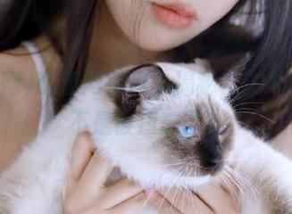 吃瓜网每日大揭秘，iOS用户是不是被遗忘了？