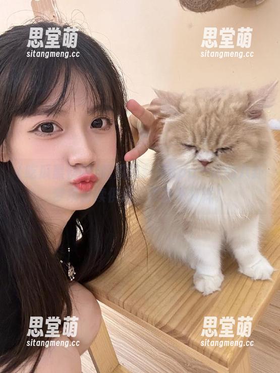 吃瓜黑料网 吃瓜黑料网app:你的八卦梦境持续供应,夜夜不打烊!