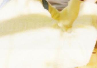 黑料不打烊：关于2025年线路的那些未解之谜